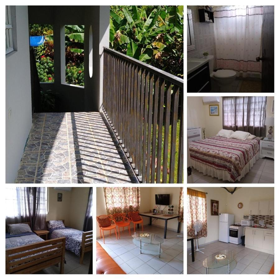 Casa De Campo Rio Arriba 아레시보 외부 사진