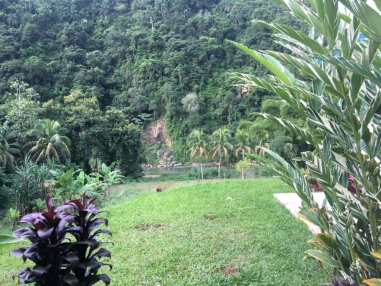 Casa De Campo Rio Arriba 아레시보 외부 사진